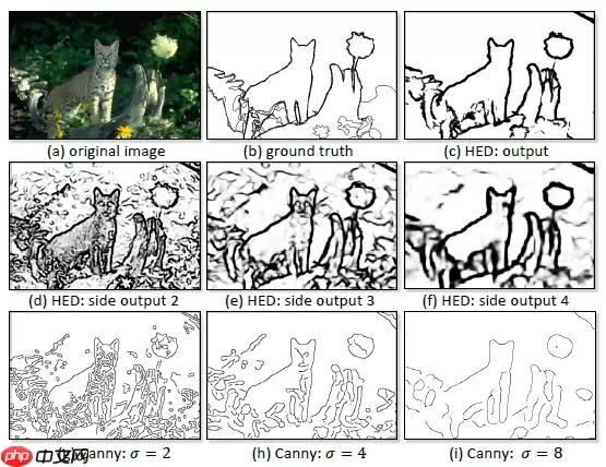 边缘检测系列3：【HED】 Holistically-Nested 边缘检测 - 游乐网