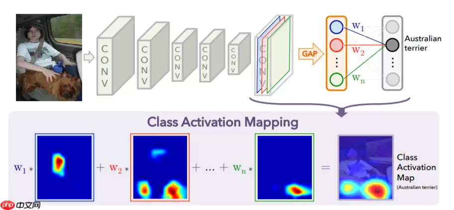 Paddle可视化神经网络热力图(CAM) - 游乐网