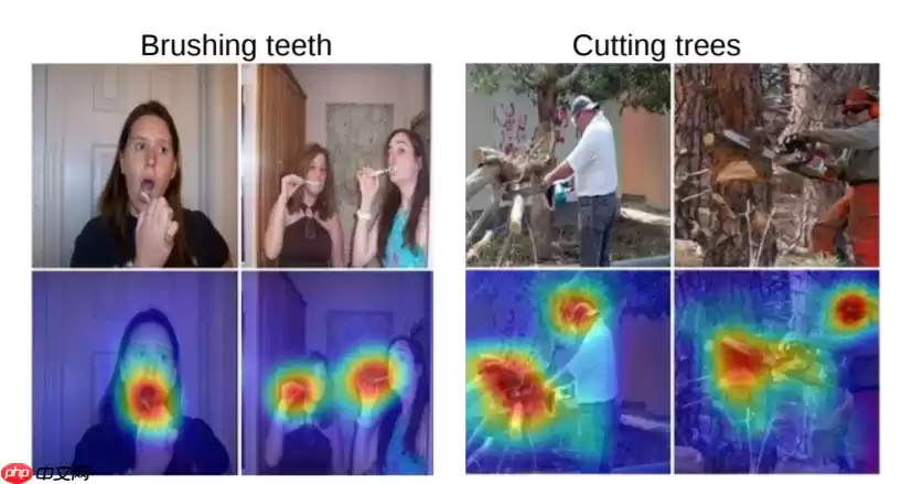 Paddle可视化神经网络热力图(CAM) - 游乐网