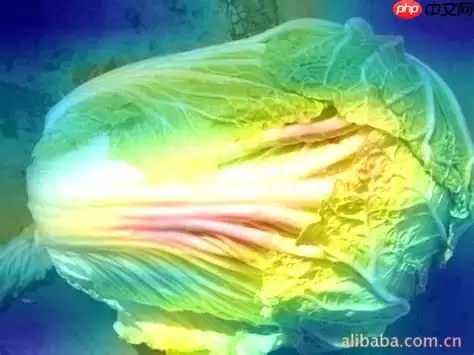 Paddle可视化神经网络热力图(CAM) - 游乐网