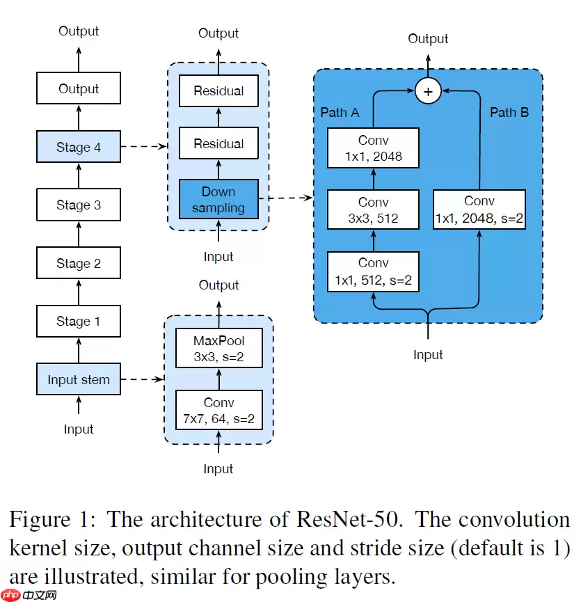 ResNet及BCD版本详解且在眼疾识别中应用实例 - 游乐网