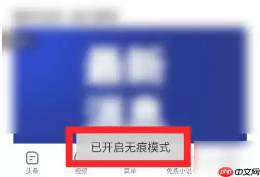 vivo浏览器如何开启无痕浏览 vivo浏览器开启无痕浏览教程