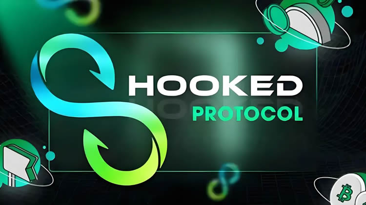 hook币投资策略图