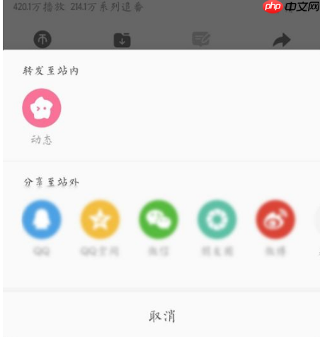 bilibili如何提升等级  bilibili提升等级方法介绍