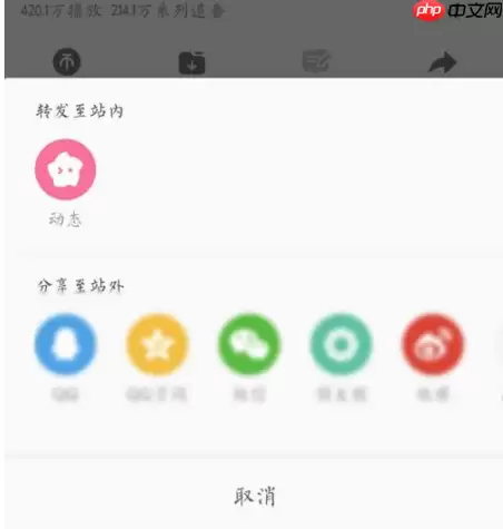 bilibili如何提升等级 bilibili提升等级方法介绍