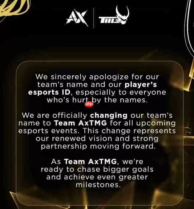 印度电竞选手起名“希特勒”遭禁赛 被迫改名“亨利”