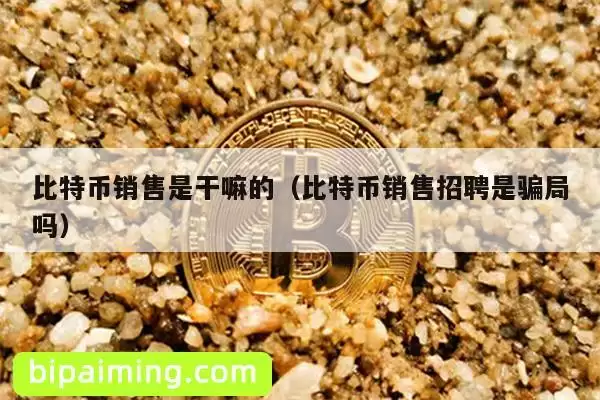 比特币销售是干嘛的(比特币销售招聘是骗局吗)