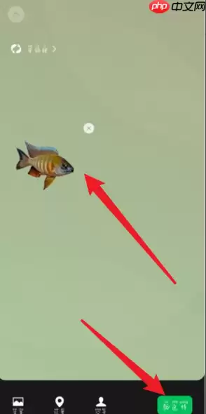 微信怎么养宠物  微信养宠物方法介绍