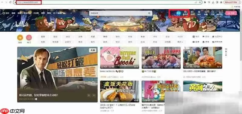 哔哩哔哩网页版入口（bilibili官网网址分享）