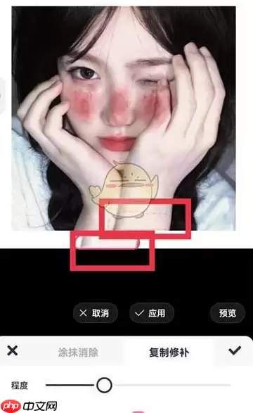 美图秀秀复制黏贴操作一览 具体一览