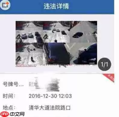 交管12123违章查询怎么使用 交管12123违章查询使用教程