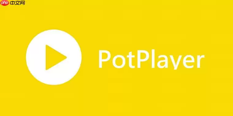 PotPlayer如何旋转视频 PotPlayer画面方向调整指南