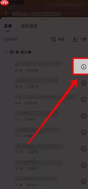红果短剧如何下载短剧 红果短剧怎样下载观看