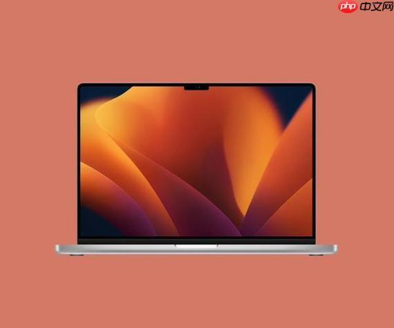 ae mac系统怎么导出视频