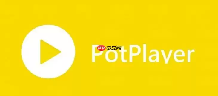 PotPlayer播放器如何启用10bit输出 PotPlayer高色深显示设置