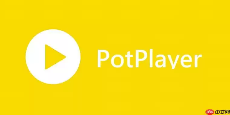 PotPlayer怎么调整音效 PotPlayer均衡器参数优化指南