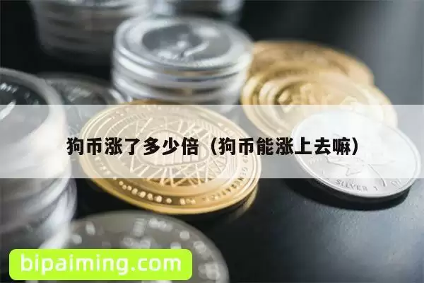 狗币涨了多少倍(狗币能涨上去嘛)