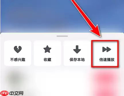极速抖音如何设置播放模式 抖音极速版倍速播放设置教程