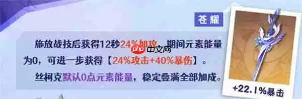丝柯克武器搭配全攻略：爆发输出与手感体验的完美平衡