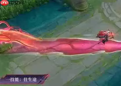 王者荣耀大司命暗都幽影皮肤特效一览