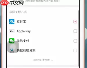 大麦网app怎么付款 大麦app如何付款