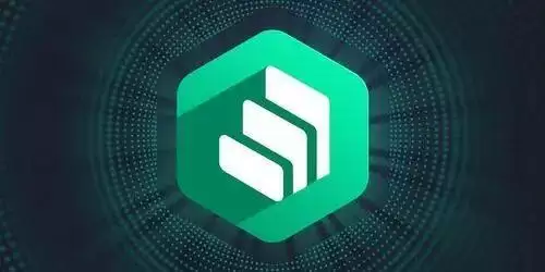 什么是Compound(COMP)币-第1张图片-本站