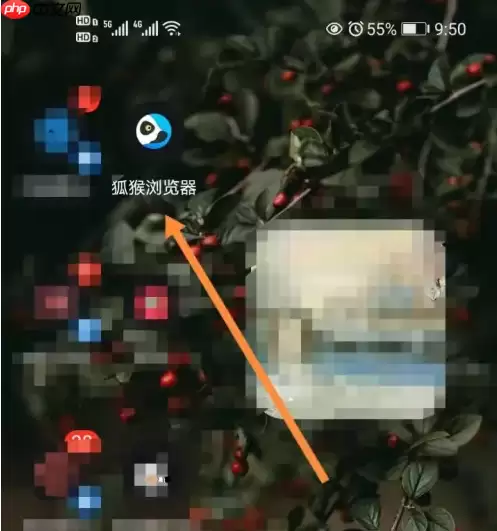 狐猴浏览器怎么全屏 狐猴浏览器开启桌面模式方法