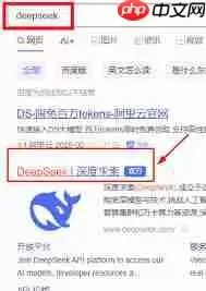 deepseek网页版免费入口在哪