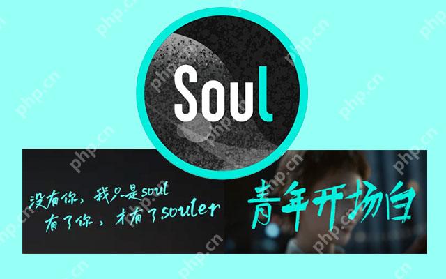 Soul自动匹配失败怎么办？ - 游乐网