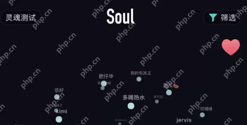 Soul好友申请未通过怎么办？ - 游乐网