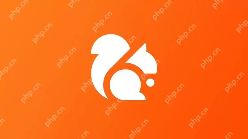 UC浏览器缓存占用过大导致卡顿怎么办?如何清理缓存? - 游乐网