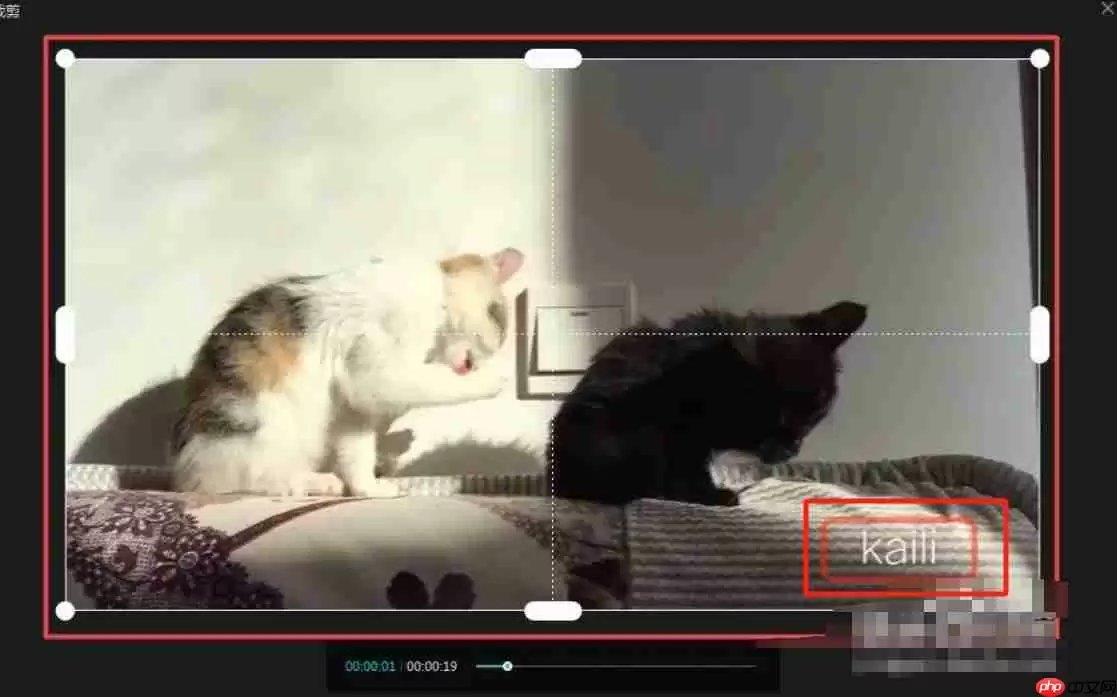 剪映怎么去水印-剪映去水印的方法