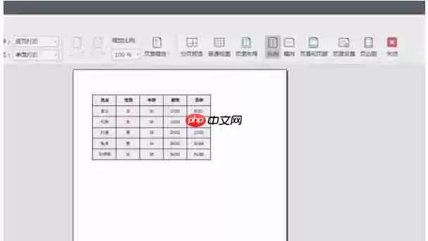 wps office怎么设置打印区域-wps office设置打印区域的方法