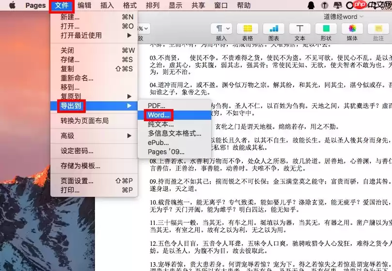 如何将pdf转换成word？5种高效方法详解！