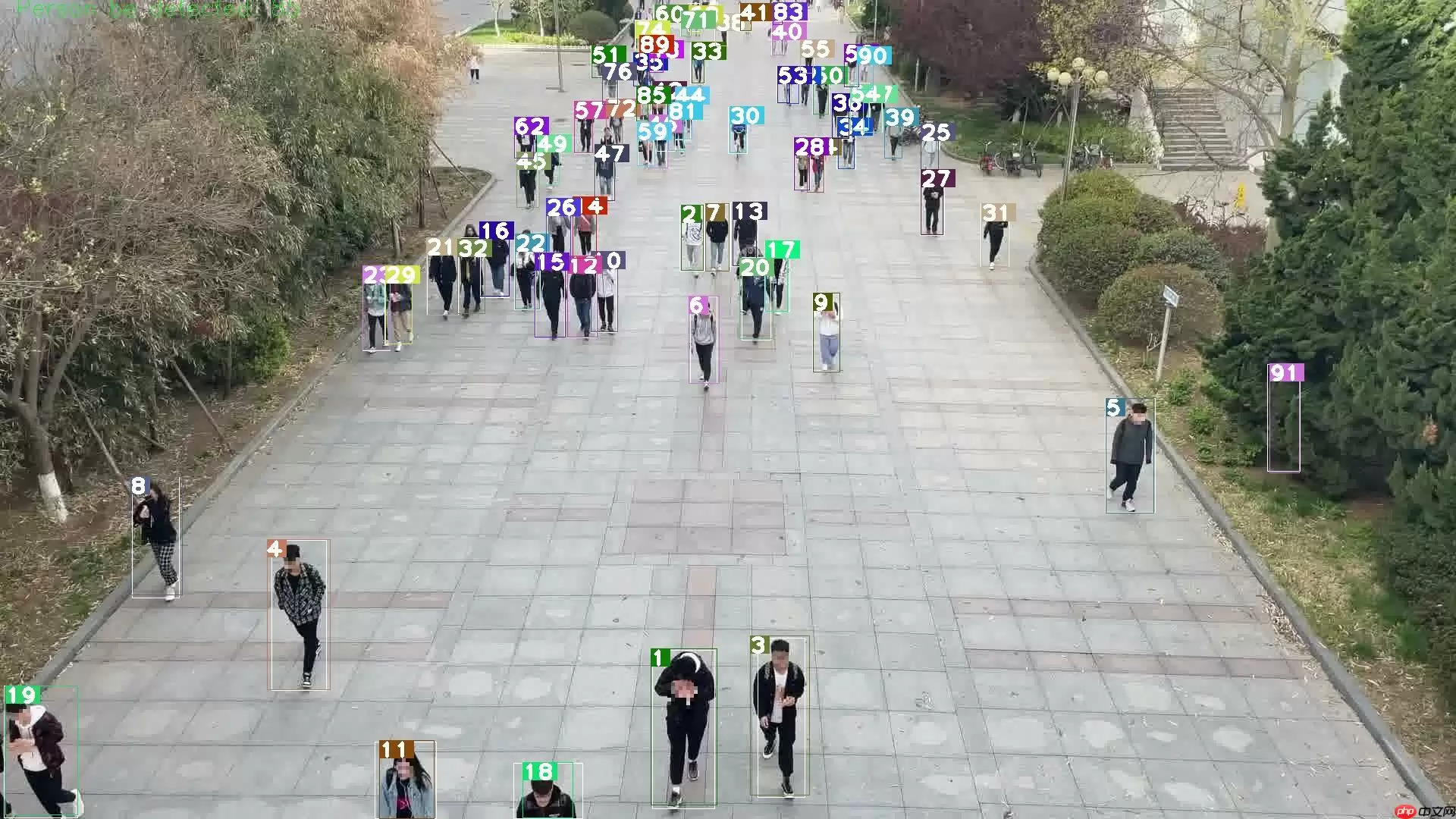 PPYOLO训练行人检测模型 - 游乐网