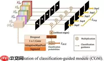 『医学影像』基于Unet+++实现脊柱MRI定位（上） - 游乐网