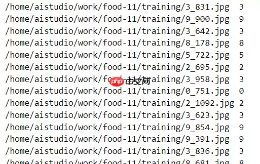 paddle实现食物分类 - 游乐网
