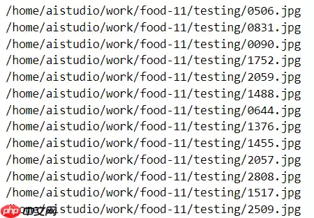 paddle实现食物分类 - 游乐网