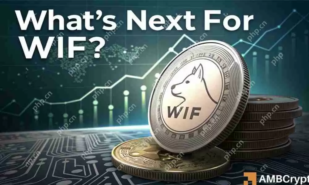 受欢迎的基于Solana的Memecoin Dogwifhat（Wif）似乎在靠近关键支持水平上挣扎