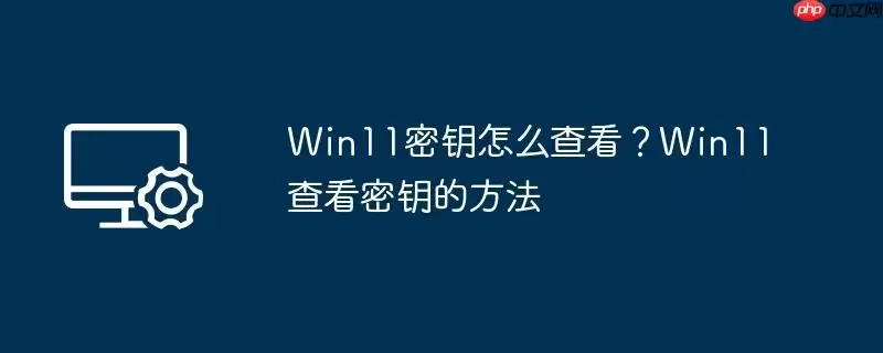 win11密钥怎么查看?win11查看密钥的方法