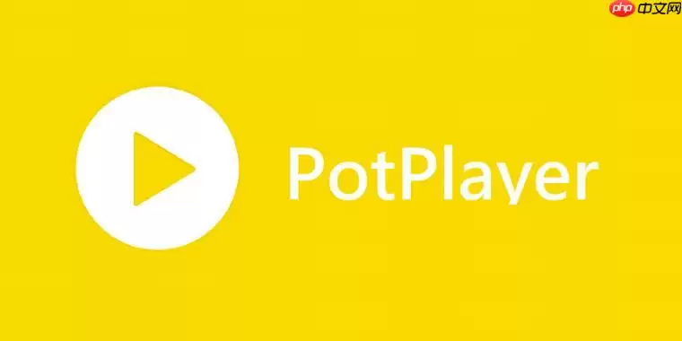 PotPlayer播放器如何设置记忆播放 PotPlayer续播功能开启教程