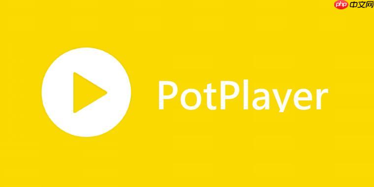 PotPlayer播放器如何播放ISO文件 PotPlayer虚拟光驱加载指南