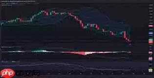 XMR币能否涨到1000美元