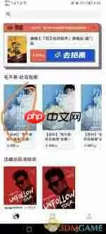 纷玩岛和大麦网哪个票好抢