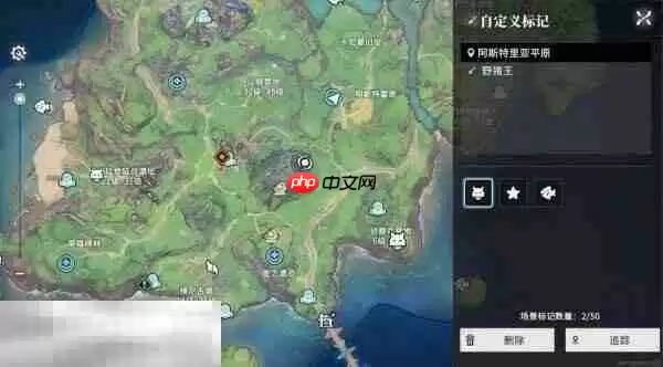 星痕共鸣BOSS野猪王怎么打 BOSS野猪王打法分享