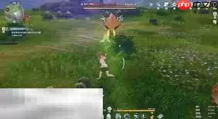 星痕共鸣BOSS野猪王怎么打 BOSS野猪王打法分享