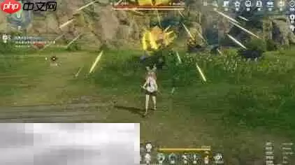 星痕共鸣BOSS野猪王怎么打 BOSS野猪王打法分享