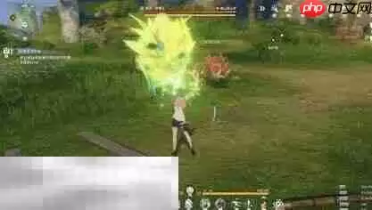 星痕共鸣BOSS野猪王怎么打 BOSS野猪王打法分享