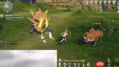 星痕共鸣BOSS野猪王怎么打 BOSS野猪王打法分享