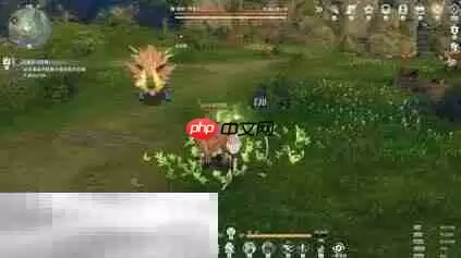 星痕共鸣BOSS野猪王怎么打 BOSS野猪王打法分享